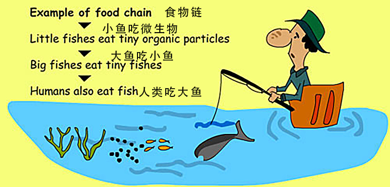 水污染的影響有哪些？