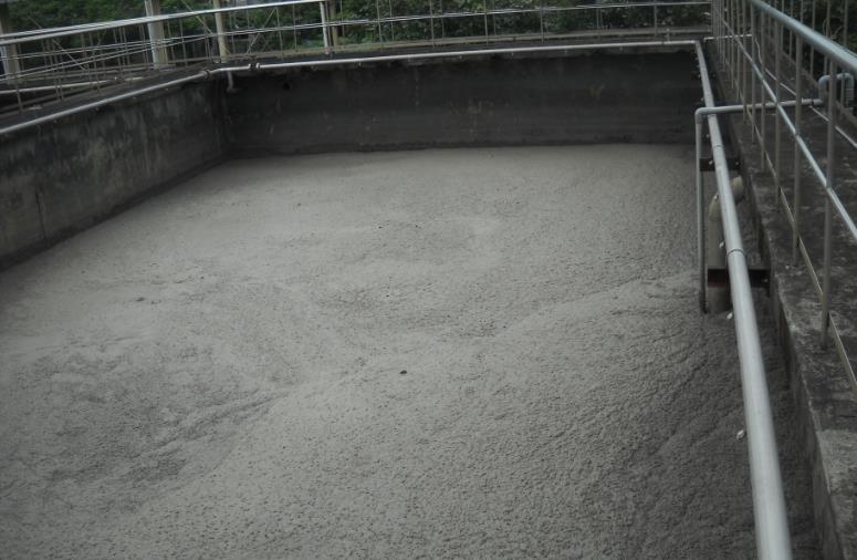 土城工業區污水處理廠廠區簡介污泥消化槽池